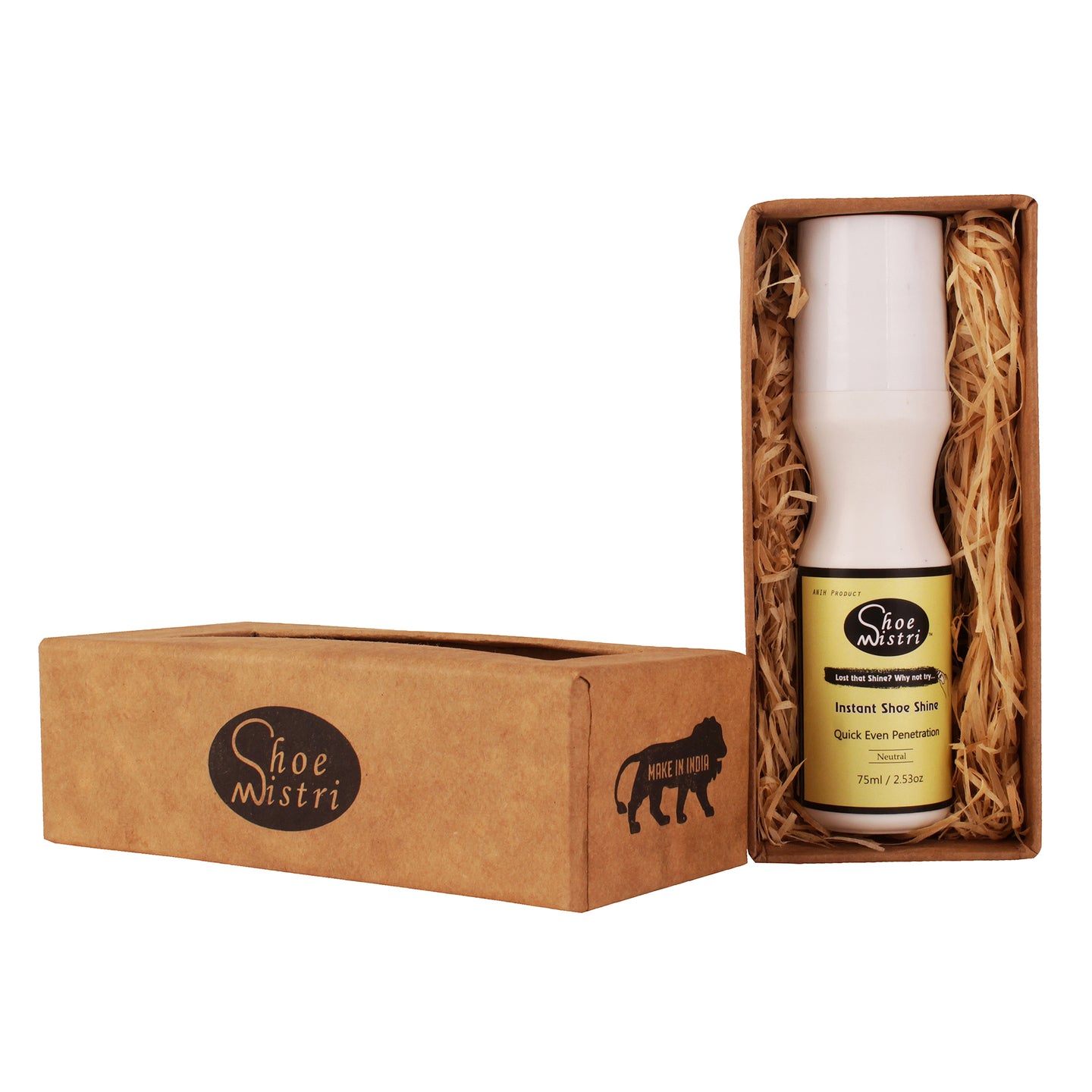 Shoe Mistri Instant Shoe Shine